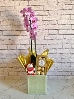 Conjunto Orquídea Rosa + Chocolate + Pelúcia + Vaso