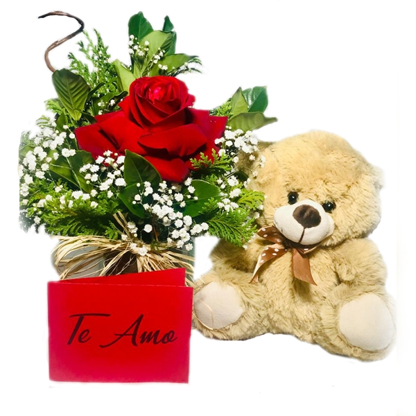KIT 01 rosa vermelha + pelúcia